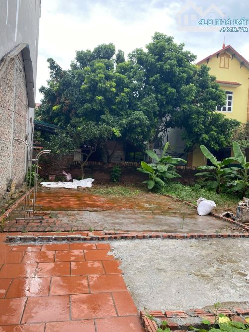 Đất Phương Đình, Đan Phượng giá 4x gần hồ điều hòa. - 2