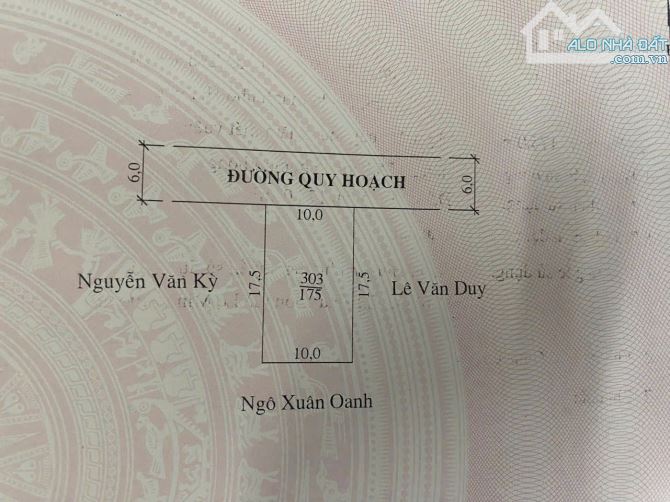 Siêu phẩm nhánh 2 Bùi Phổ 175m2 ngang 10m - 2