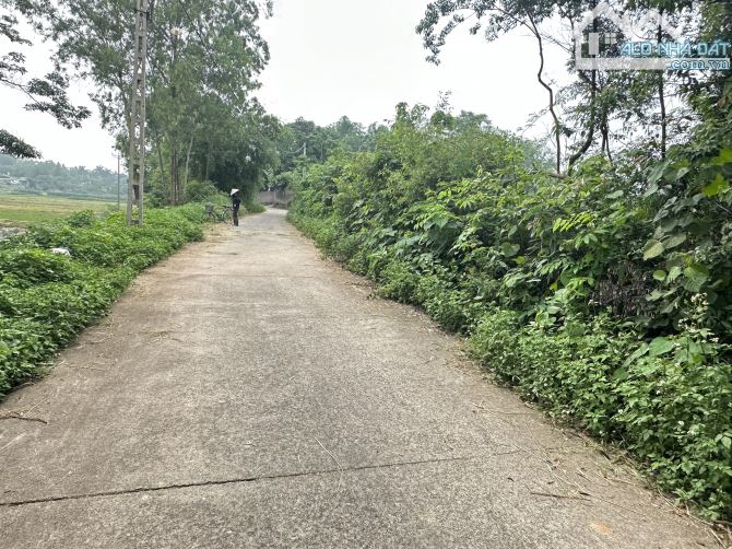 Bán đất Thôn Quế, Hướng Đạo, Tam Dương, Vĩnh Phúc, DT 940m2 - 2