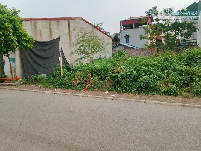 Bán Đất 85 m2 - Cổ Giang - Lệ chi . Gia Lâm - 2