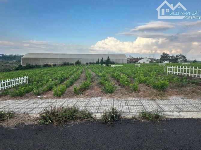 BÁN ĐẤT NGỘP GẦN CHỢ, GẦN UỶ BAN 500M2 CHỈ HƠN 1 TỶ BÁN TRONG THÁNG - 2