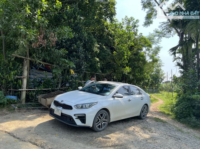 Bán đất Kim Bôi, Hoà Bình 2931m2 thổ cư 1800m2 View cánh đồng siêu đẹp - 2