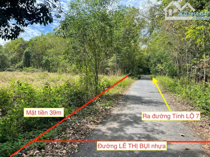 Bán đất mặt tiền nhựa thông đường TL7 xã An Nhơn Tây Củ Chi TPHCM, DT: 4600m2. - 2