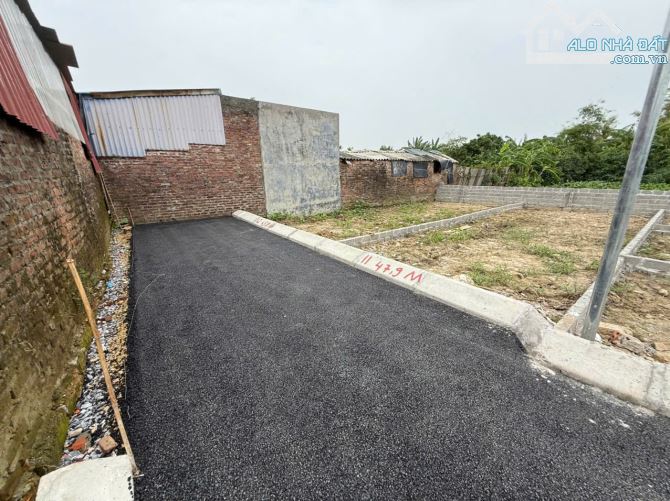 Bán đất Thôn Nguyệt An Lão Cách ngã 5 Kiến An 2km 70m²- giá 490 triệu..loa loa loa - 2