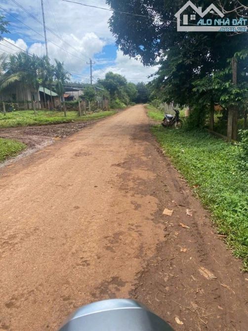 LÔ ĐẤT 3 MẶT TIỀN ĐƯỜNG NHỰA EADRONG - CÁCH TRUNG TÂM BMT CHỈ 17KM - 2