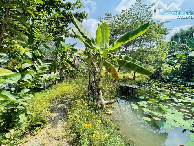 Chủ Gửi Bán Lô Đất View Đồi có sẵn vườn Trái Cây, Hồ Cá,Đường nhựa nhà nước - 22