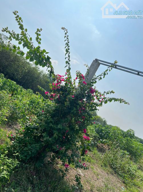 Bán 6.188m2 An Viễn, Trảng Bom view suối - 3