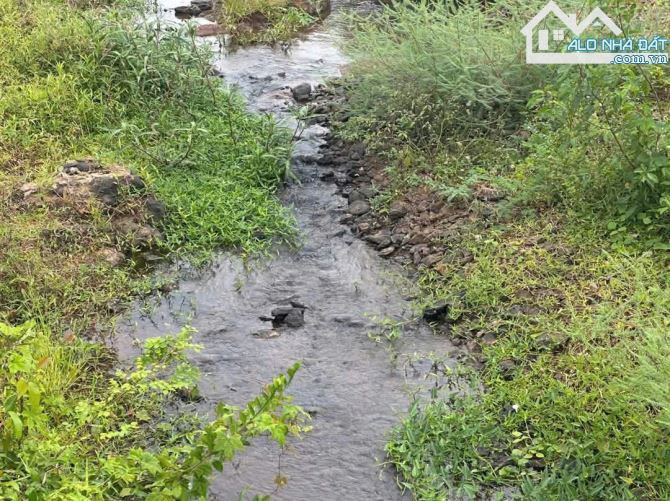 Bán vườn trái cây Châu Đức Láng Lớn view suối 2000m2 100 thổ cư - 3