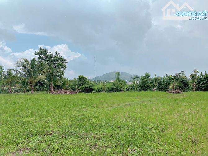 Bán khoảng 3 sào (3084m2) đất xã Suối Nghệ, huyện Châu Đức, BRVT. - 3