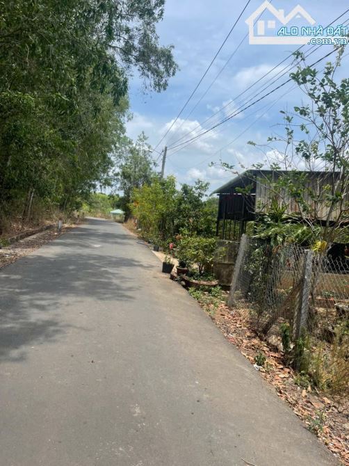 BÁN ĐẤT TẠI XÃ SUỐI RAO – TP.HCM - 3