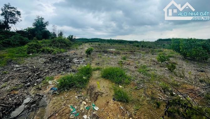 BÁN 1.6HA MẶT TIỀN NHỰA LỚN, CÁCH ĐƯỜNG CHÍNH XUÂN SƠN - ĐÁ BẠC 1KM, GIÁ RẺ NHẤT KHU VỰC - 3