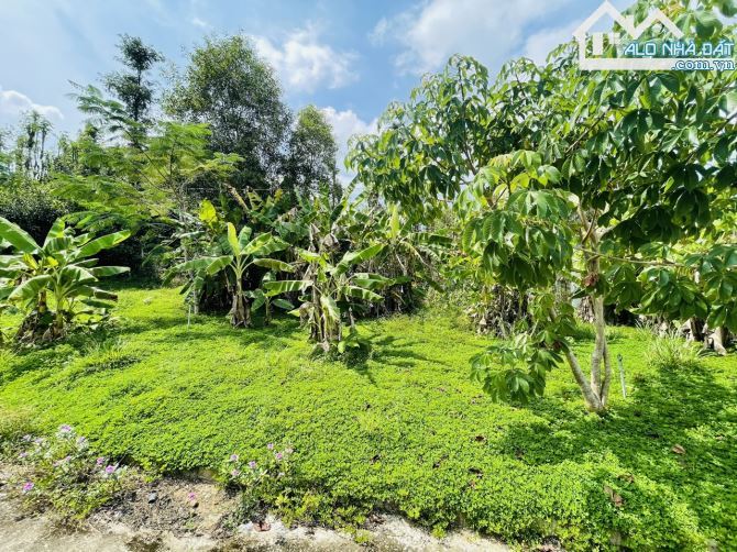 Chủ Gửi Bán Lô Đất View Đồi có sẵn vườn Trái Cây, Hồ Cá,Đường nhựa nhà nước - 3
