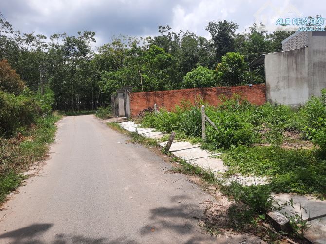 Đất nền thành phố Hồ Chí Minh giá rẻ vị trí đầu tư tiềm năng - 3