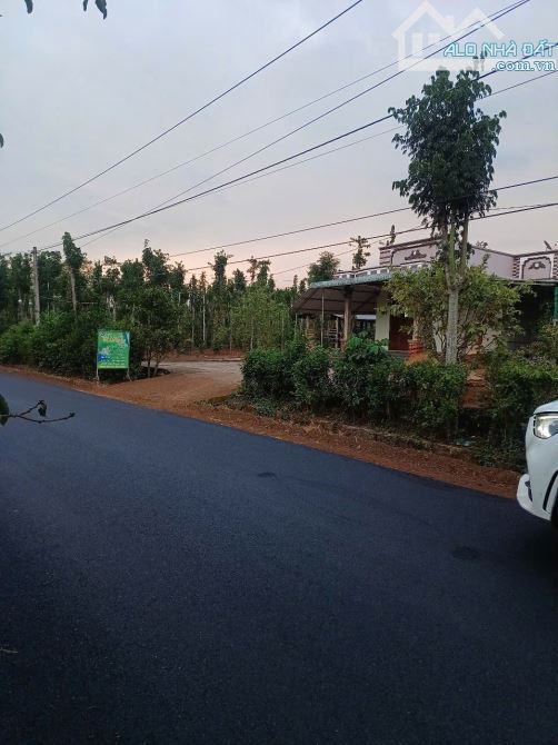 13000m2 mặt tiền đường nhựa khu dân cư đất full hồng giá rẻ tphcm - 3
