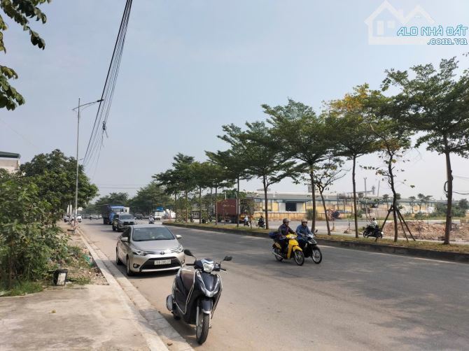 ĐẤT VÀNG MẶT QL38 – ĐỐI DIỆN CỤM CÔNG NGHIỆP HẠP LĨNH, BẮC NINH / DT 81M2 GIÁ HƠN 9 TỶ - 3