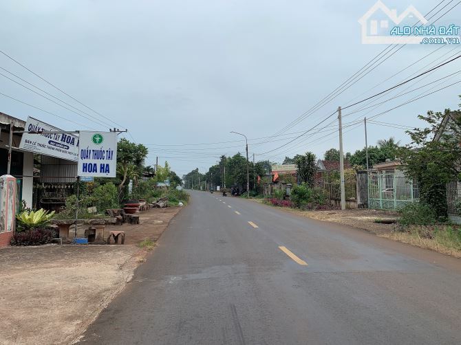 Bán khoảng 5 sào 7 (5741m2) đất Xà Bang, huyện Châu Đức, BRVT. - 3