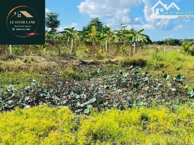 BÁN GẦN 4000m2 THỔ CƯ MT NHỰA XUÂN SƠN-ĐÁ BẠC, DÂN CƯ ĐÔNG, TIỆN KINH DOANH, GIÁ SIÊU NGỘP - 3
