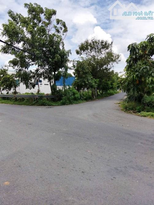 Bán đất thổ cư mặt tiền nhựa 1 xẹt đường QL 22 xã Tân Thông Hội Củ Chi TPHCM, DT: 5x22m. - 3