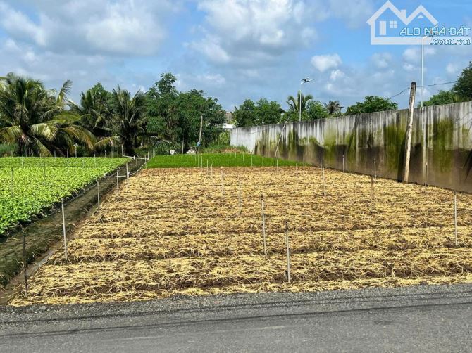 💎 Bán đất Biệt thự (15 x 66m) đường nhựa Tân Xã, Phường Long Hòa gần Tỉnh Lộ 862 - 3