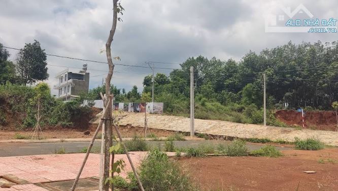 BÁN ĐẤT NỀN KHU ĐÔ THỊ GOLDEN LOTUS CITY – 198M² – GIÁ 6 TỶ 4 - 3