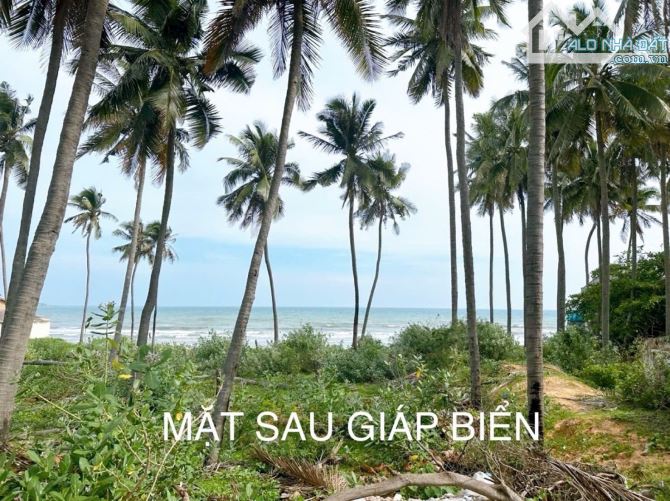 ĐẤT NGỘP GIẢM NỬA GIÁ CÒN 25 TỶ ĐẤT MẶT TIỀN BIỂN MŨI NÉ PHAN THIẾT - KHU  NHÀ HÀNG RESORT - 3