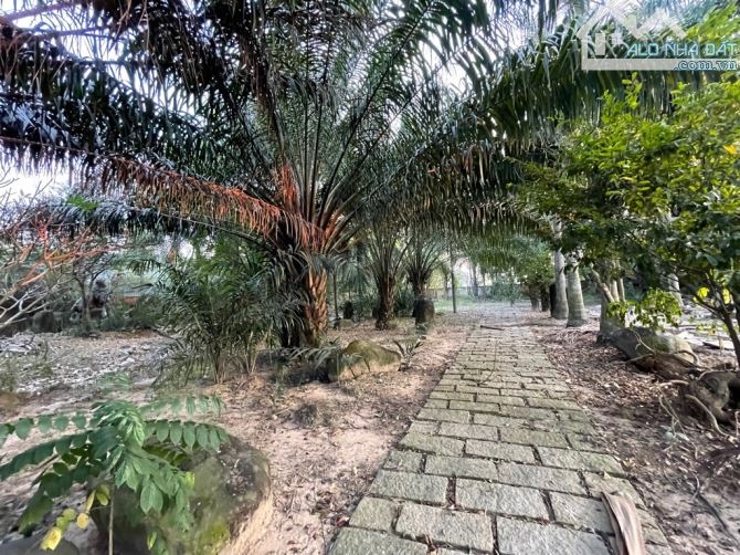 SIÊU PHẨM KHO XƯỞNG - 19600M2 - ĐẤT TO - XE CÔNG VÀO - VÀNH ĐAI 3 - 3