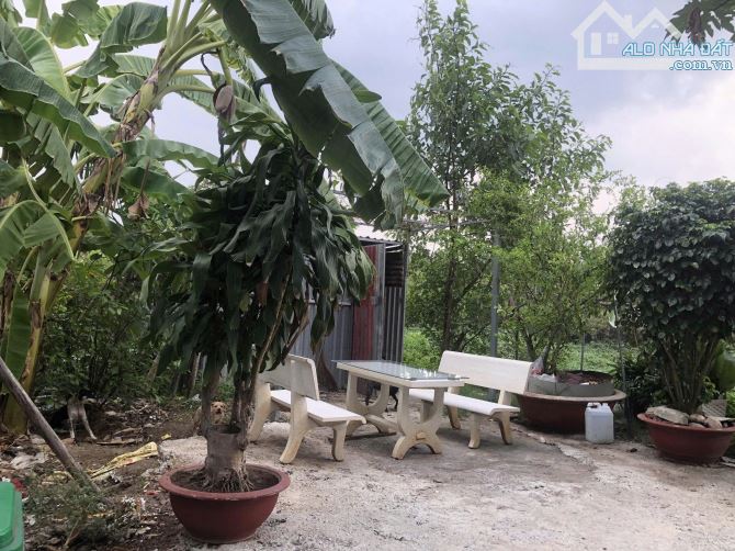 THANH LÝ ĐẤT Ở ĐÔ THỊ, 650M2, ĐƯỜNG GÒ CÁT,PHƯỜNG PHÚ HỮU,Q9 (THỦ ĐỨC), GIÁ 27,5 TỶ. - 3