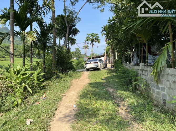 Bán đất Kim Bôi, Hoà Bình 2931m2 thổ cư 1800m2 View cánh đồng siêu đẹp - 3
