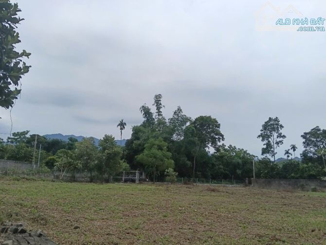 Bán đất Kim Bôi Hoà Bình đất thoáng bám đường rộng 2568m2 - 3