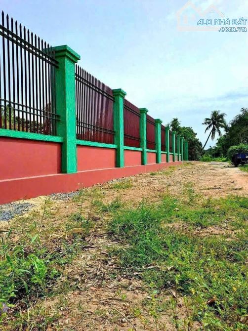 Cơ Hội Hiếm – Sở Hữu Đất Mặt Tiền Sông Bà Hồng - 1/ Bùi Công Trừng, Xã Nhị Bình (Nay Là - 3