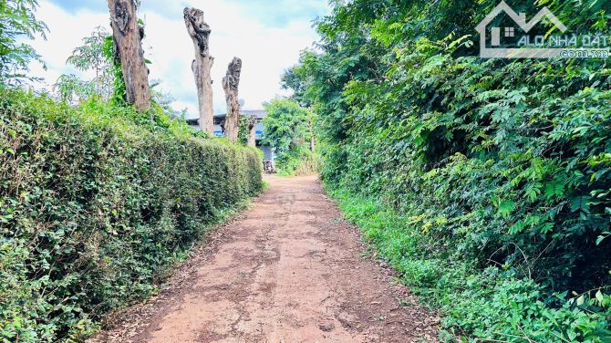 💥550m2 đất hẻm Đại lô Đông Tây Võ Nguyên Giáp gần ngay Vòng xoay - 3