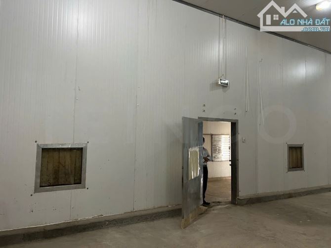 Kho lạnh - cấp đông công suất 300 và 600 tấn, trong khu công nghiệp Trà Nóc - 3
