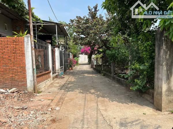 ĐẤT PHÚ CƯỜNG – GẦN PHỐ ĐI BỘ BẠCH ĐẰNG  1 TỶ 650 (còn thương lượng) - 4