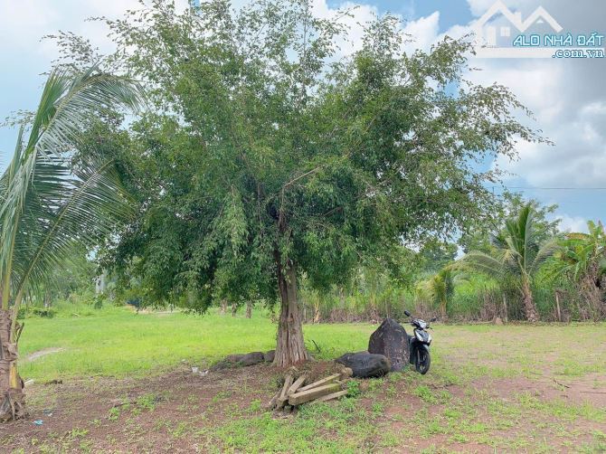 Bán khoảng 3 sào (3084m2) đất xã Suối Nghệ, huyện Châu Đức, BRVT. - 4
