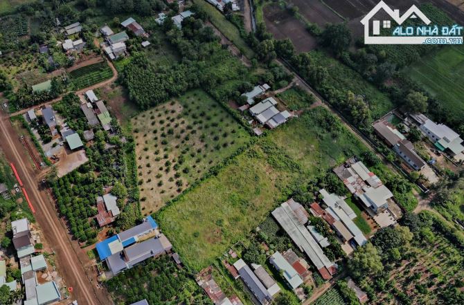 LÔ ĐẤT BIỆT THỰ VƯỜN TUYỆT ĐẸP MẶT TIỀN 56B SUỐI NGHỆ, THỔ CƯ, CÓ HỒ BƠI, VƯỜN CÂY ĂN TRÁI - 4