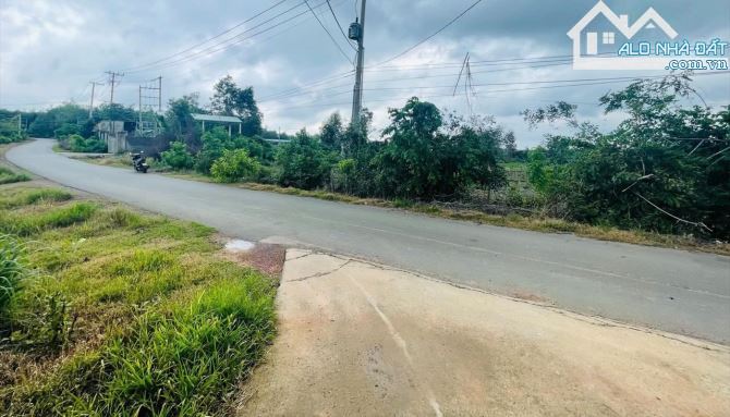 BÁN 1.6HA MẶT TIỀN NHỰA LỚN, CÁCH ĐƯỜNG CHÍNH XUÂN SƠN - ĐÁ BẠC 1KM, GIÁ RẺ NHẤT KHU VỰC - 4