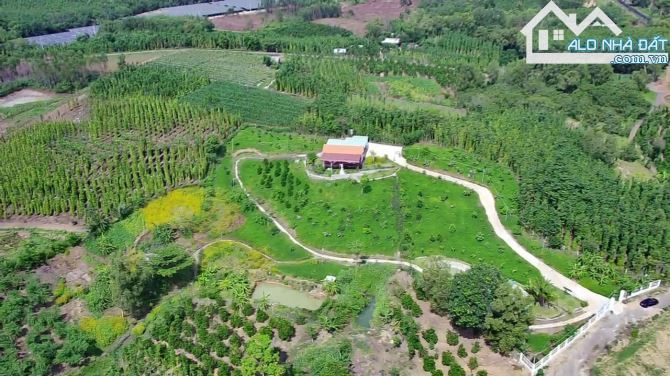Chủ Gửi Bán Lô Đất View Đồi có sẵn vườn Trái Cây, Hồ Cá,Đường nhựa nhà nước - 4