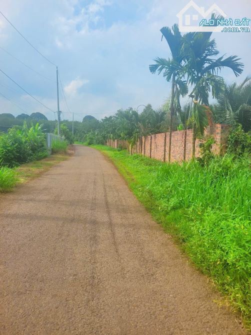 CẦN BÁN VIEW HỒ ĐÁ BÀNG CÓ SẴN VƯỜN TRÁI CÂY,AO SEN CỰC ĐEP VỊ TRÍ MÁT MẺ THÔNG THOÁNG.. - 4