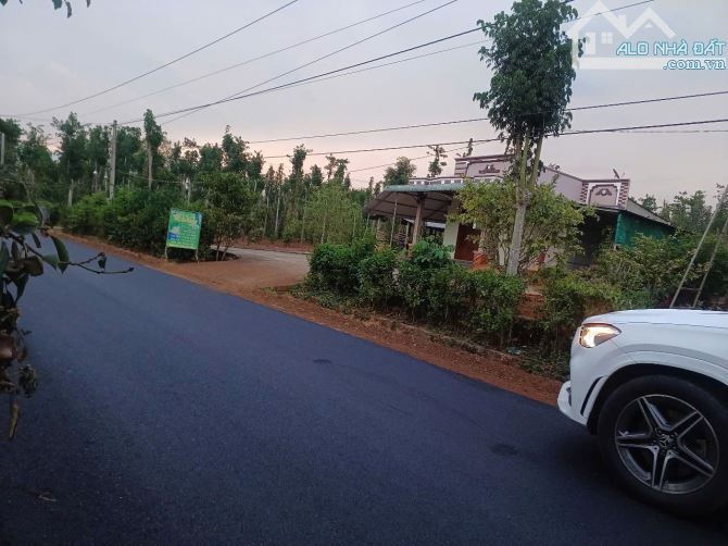 13000m2 mặt tiền đường nhựa khu dân cư đất full hồng giá rẻ tphcm - 4