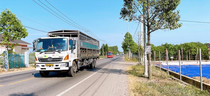 BÁN ĐẤT SUỐI RAO CHÂU ĐỨC BÀ RỊA VŨNG TÀU 2050 XÂY NHÀ VƯỜN RẤT ĐẸP - 4