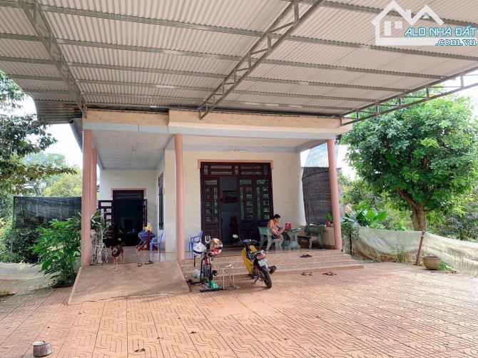 Bán khoảng 4 sào 6 (4647m2) đất Xà Bang, huyện Châu Đức, BRVT. - 4