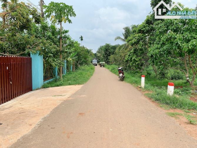 Bán khoảng 9 sào (9451m2) đất Xà Bang, huyện Châu Đức, BRVT. - 4
