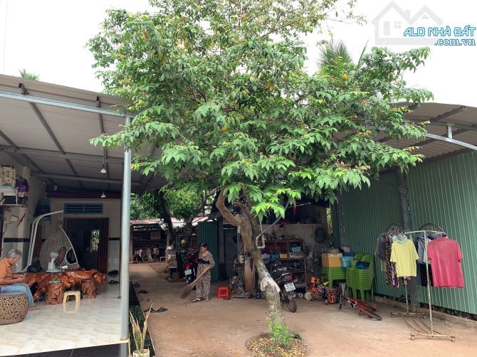 Bán khoảng 5 sào 7 (5741m2) đất Xà Bang, huyện Châu Đức, BRVT. - 4