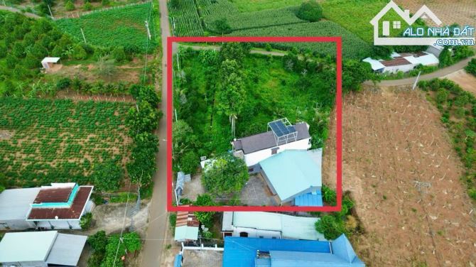 Bán căn nhà vườn góc 2 mặt tiền siêu víp Xã Xuân Sơn - Châu Đức.BRVT chủ ngộp bank - 4