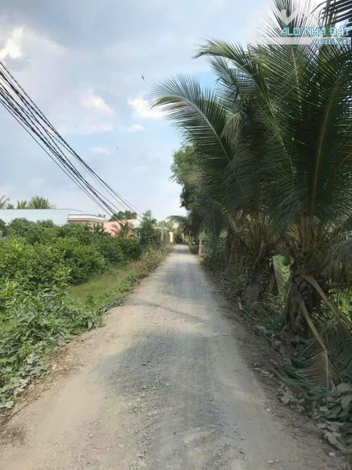 500m2 vườn lương hoà Bến Lức 715 triệu giá rẻ đường ôtô - 4