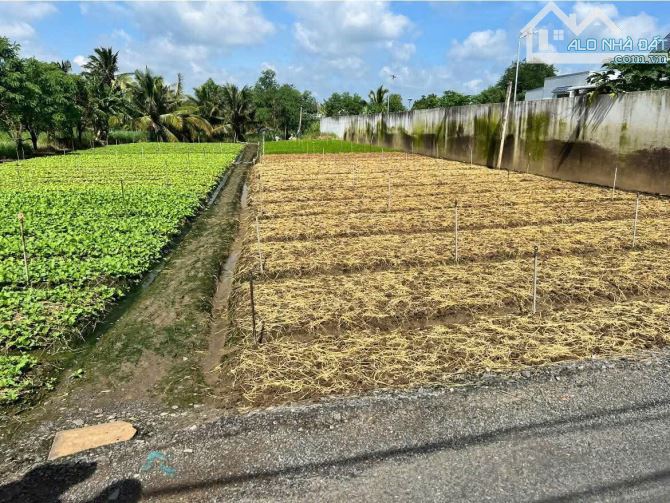 💎 Bán đất Biệt thự (15 x 66m) đường nhựa Tân Xã, Phường Long Hòa gần Tỉnh Lộ 862 - 4