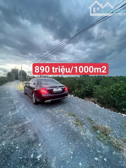 1030m2 đất vườn giá 850 triệu vew kênh thạnh hoà Bến Lức Long An được lên thổ giá rẻ - 4