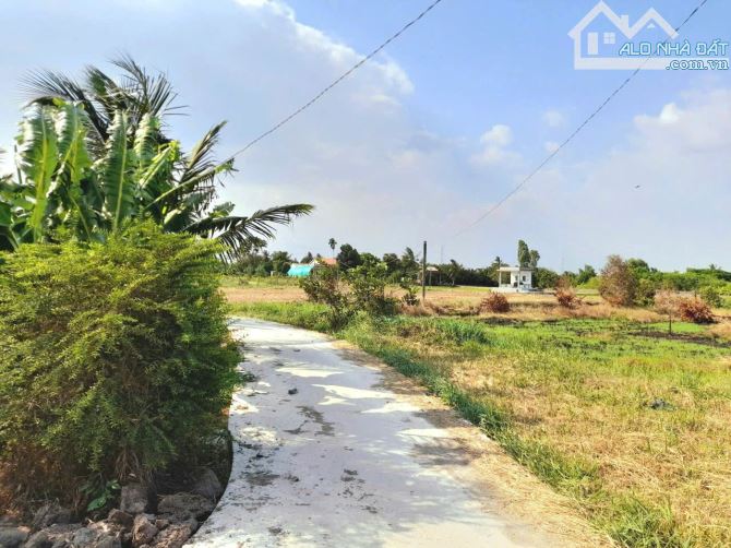 Quá Ngộp, 833m2 đất lúa Chuyển Fun thổ cư giá chốt 350 tr - 4