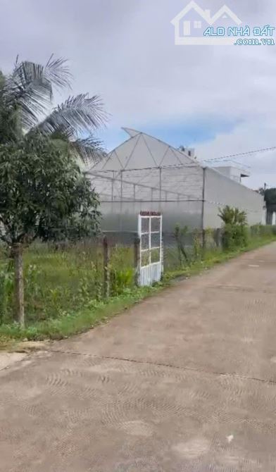 Bán gấp đất thổ nhà vườn Nhơn Trạch giá rẻ 2,5tr/m. Đường oto. SR chính chủ.GỌI NGAY 24/24 - 4