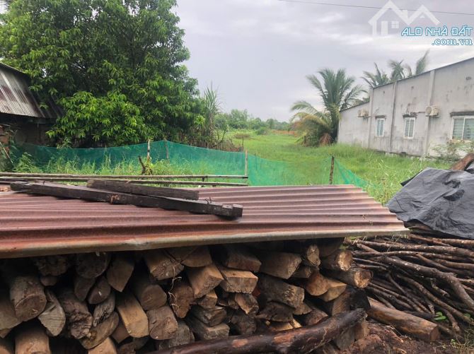 BÁN ĐẤT VƯỜN 1,4 HÉC-TA TẠI DẦU TIẾNG, BÌNH DƯƠNG - 25 TỶ - 4